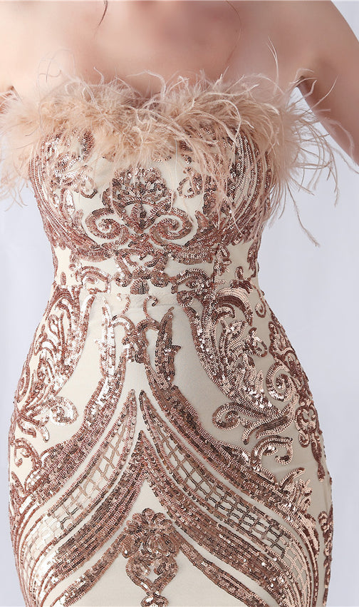 Choire Champagne Sequin Feather Maxi Dress
