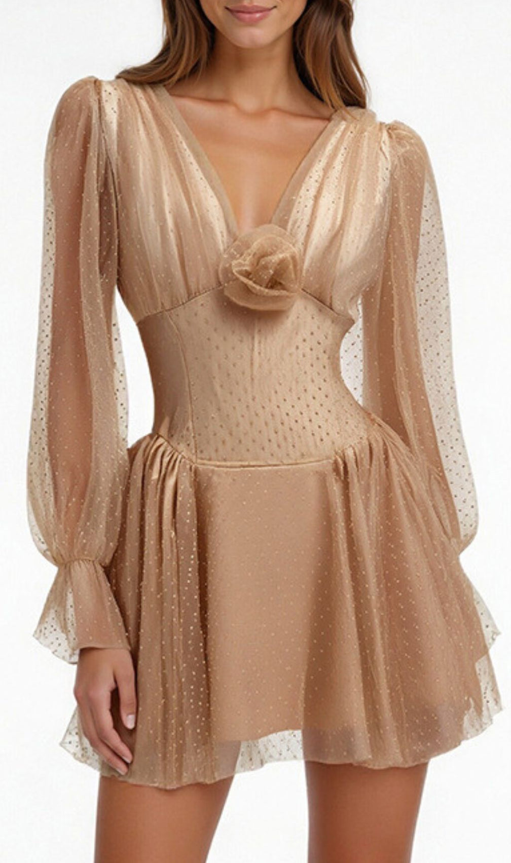 Honor 3D Flower Long Sleeve Mini Dress