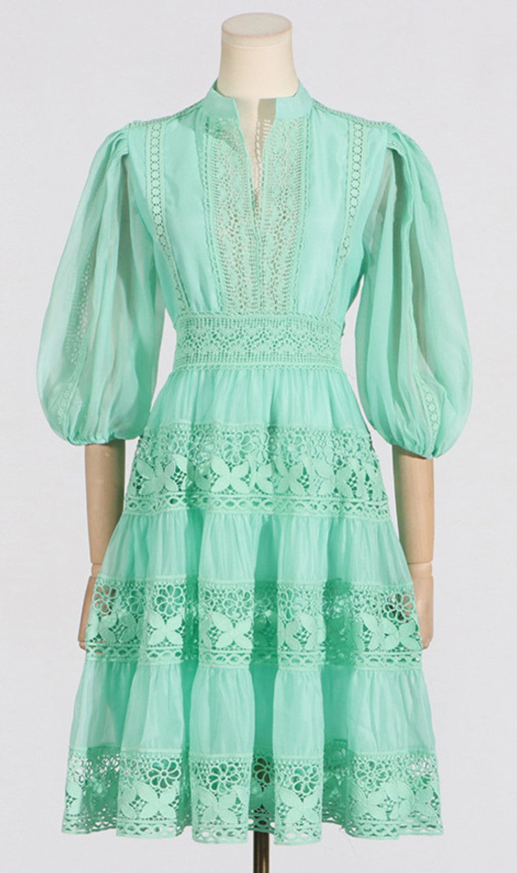 Astrea Puff Sleeve Embroidery Mini Dress