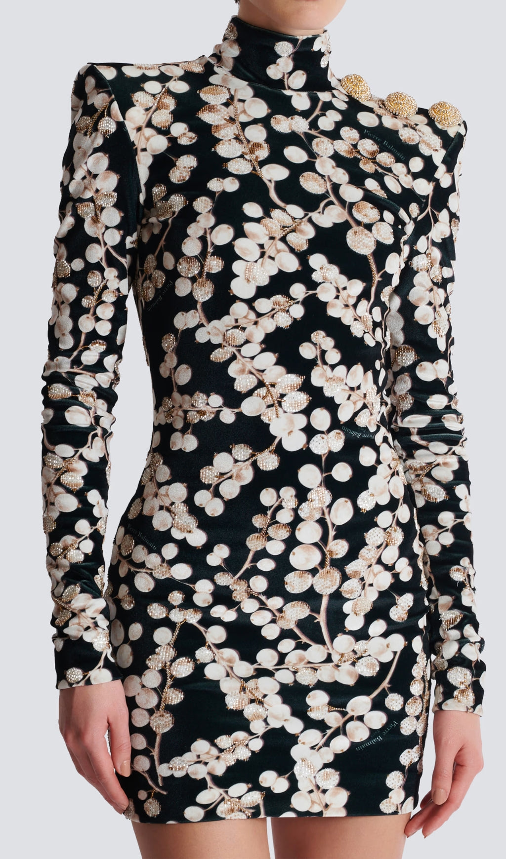 Chaha Redcurrant Print Velvet Mini Dress