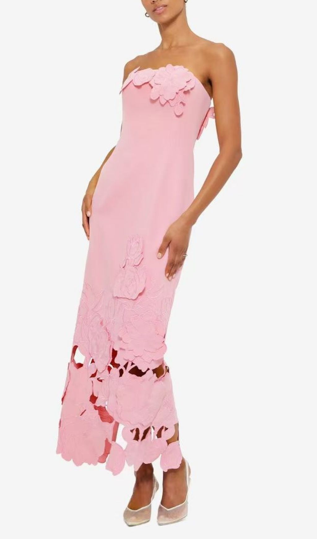 Rayna Strapless Bustier Maxi Dress | 3D Floral & Laser-Cut Appliqué | Blush Pink Gown