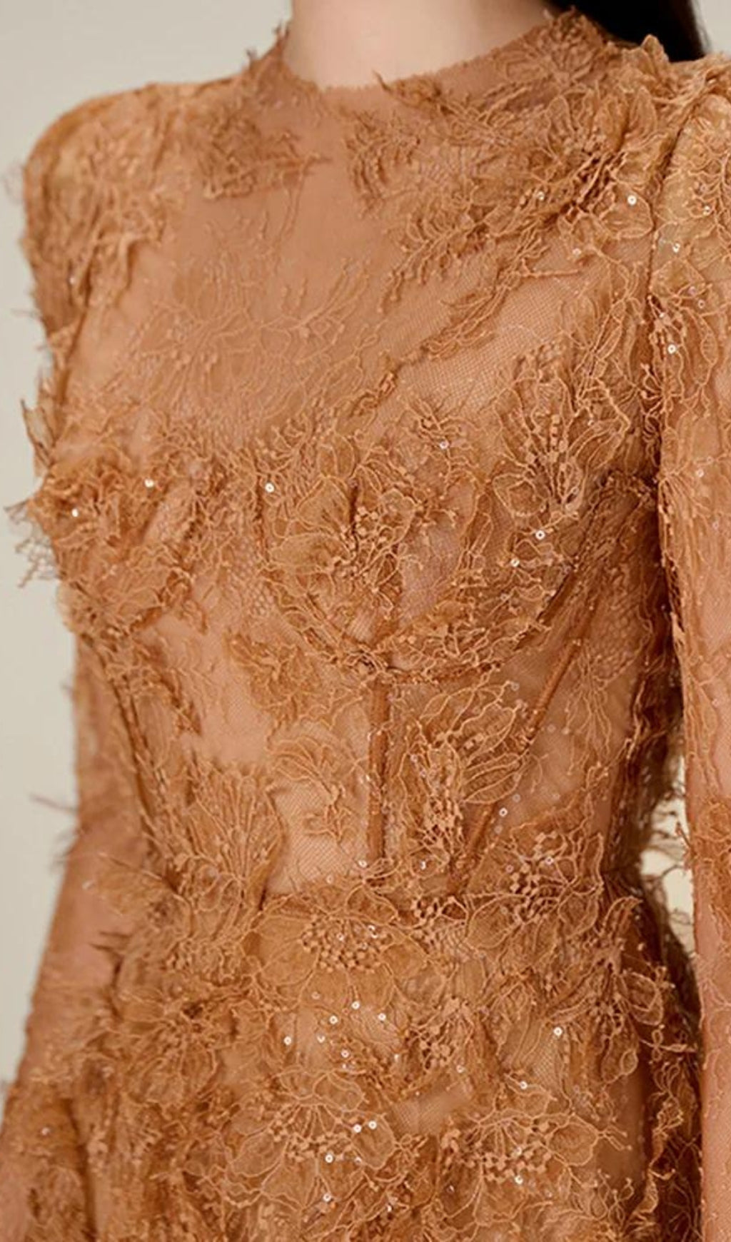 Adri Lace Embroidery Mini Dress