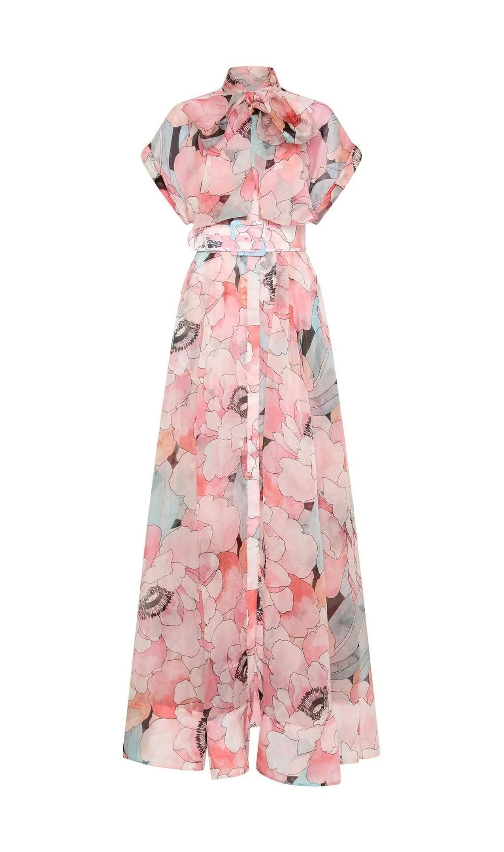Eudoxia Pink Printed Maxi Dress