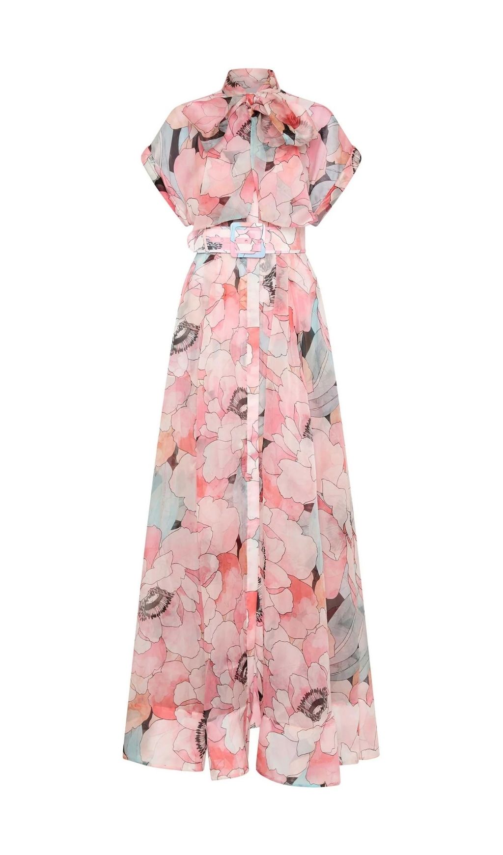 Eudoxia Pink Printed Maxi Dress
