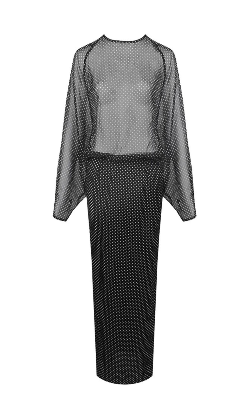 Chic Sheer Polka Dot Long Sleeve Maxi Dress - Black