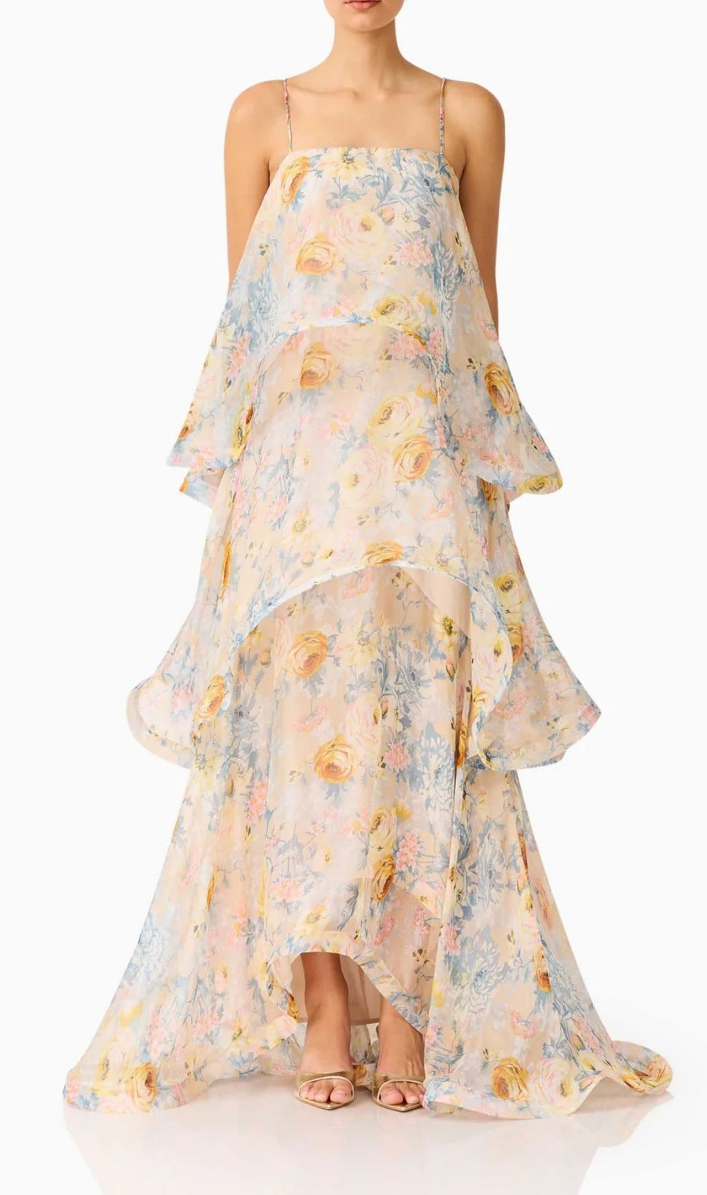 Lael Floral Printed Maxi Dress