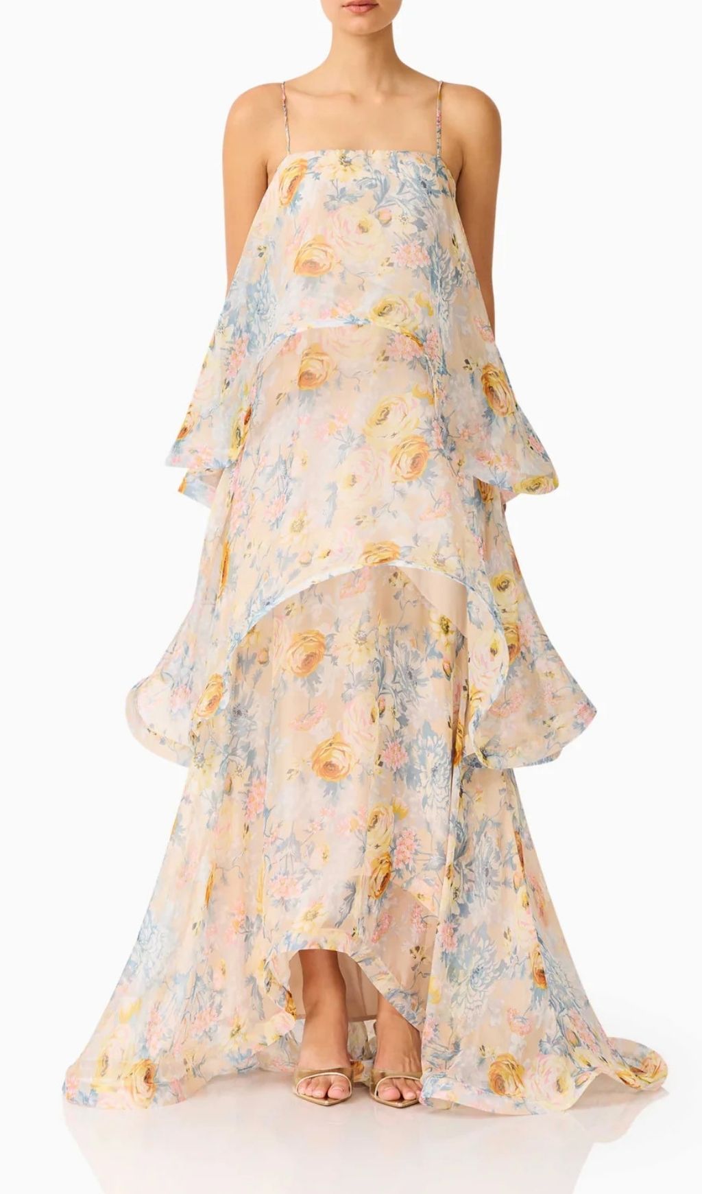 Lael Floral Printed Maxi Dress