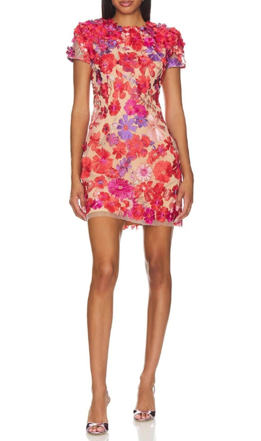 Fumiye Flower Embroidery Mini Dress