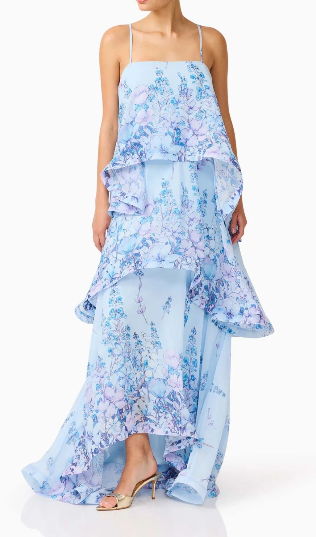 Lael Blue Floral Printed Maxi Dress