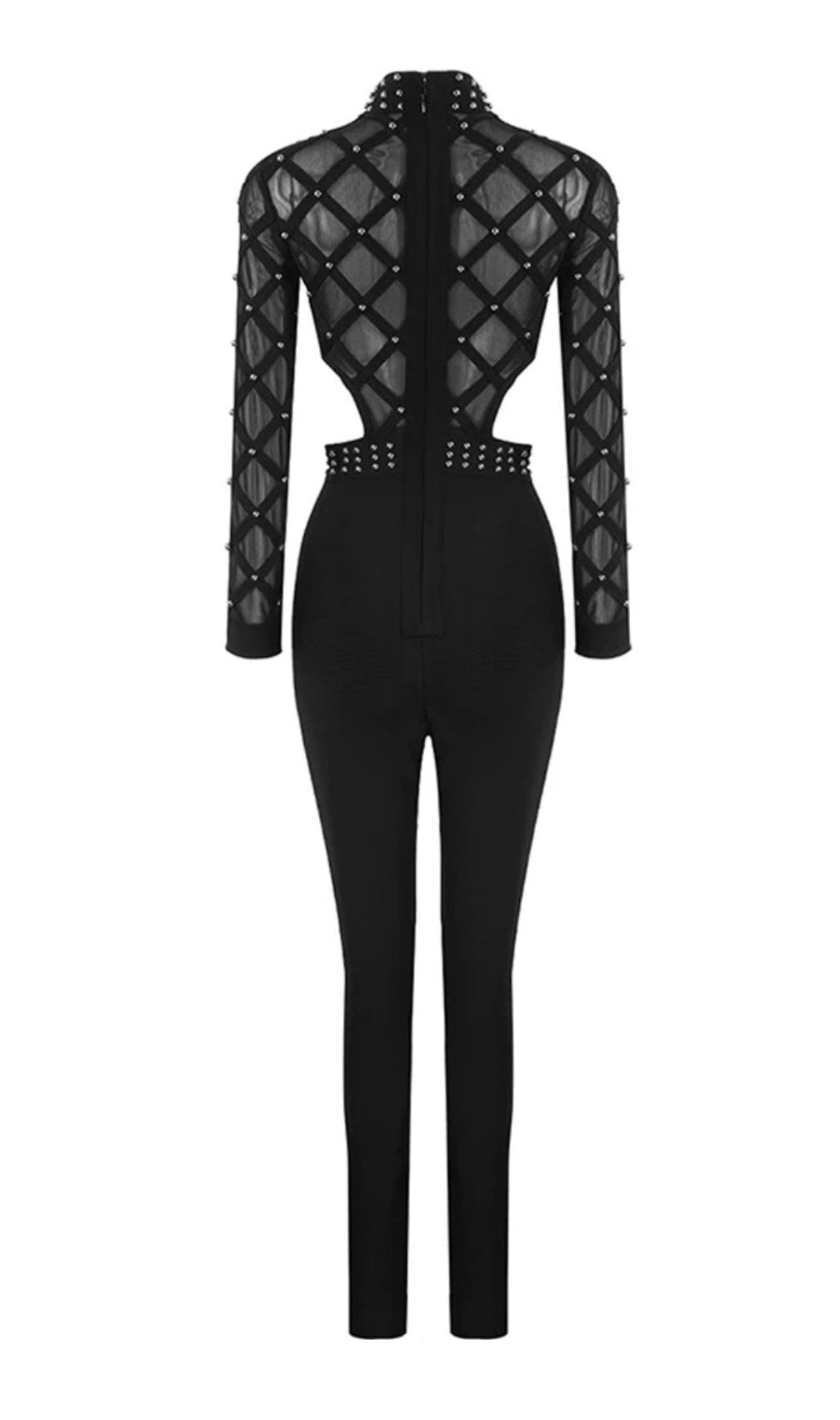 Ashwina Black Mesh Jumpsuit
