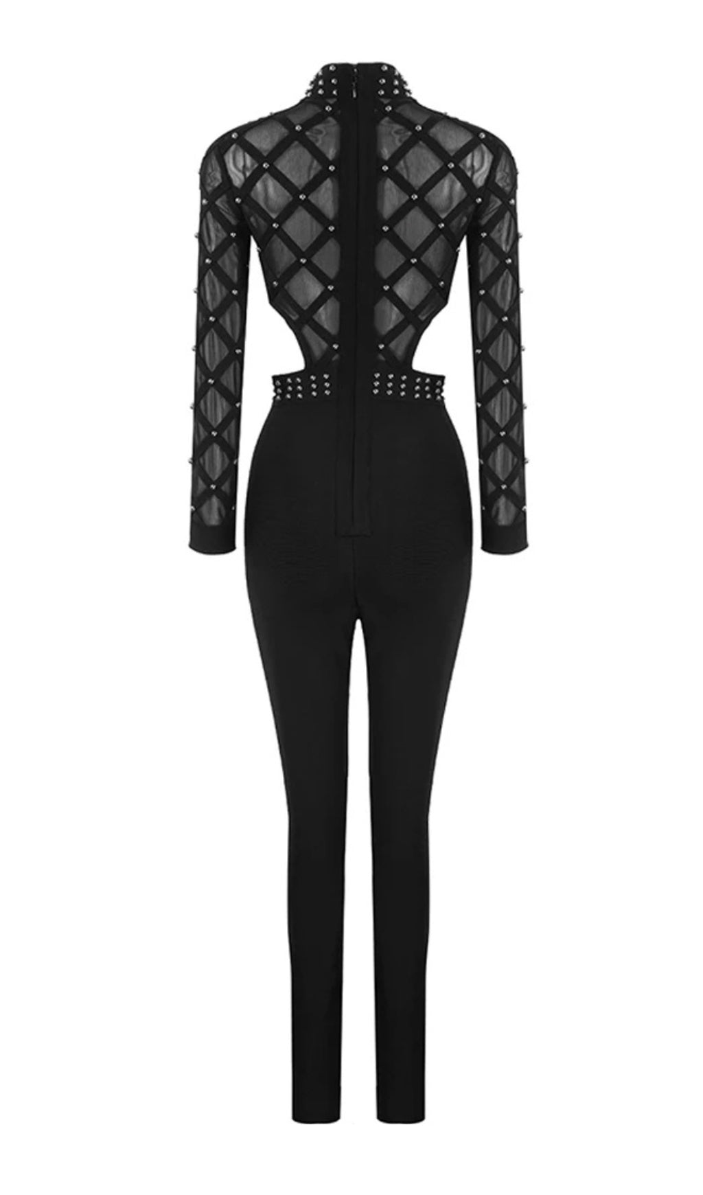 Ashwina Black Mesh Jumpsuit