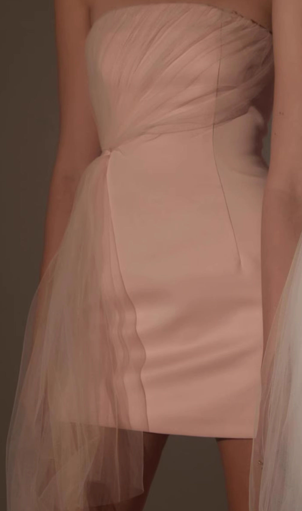 Chantoya Strapless Mesh Mini Dress