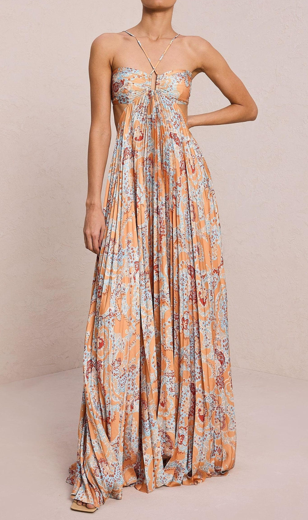 Dorisa Printed Backless Maxi Dress