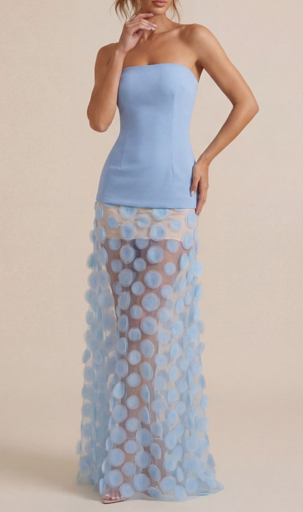 Keala Dream Blue Strapless Maxi Dress | Ethereal Mesh Applique Gown