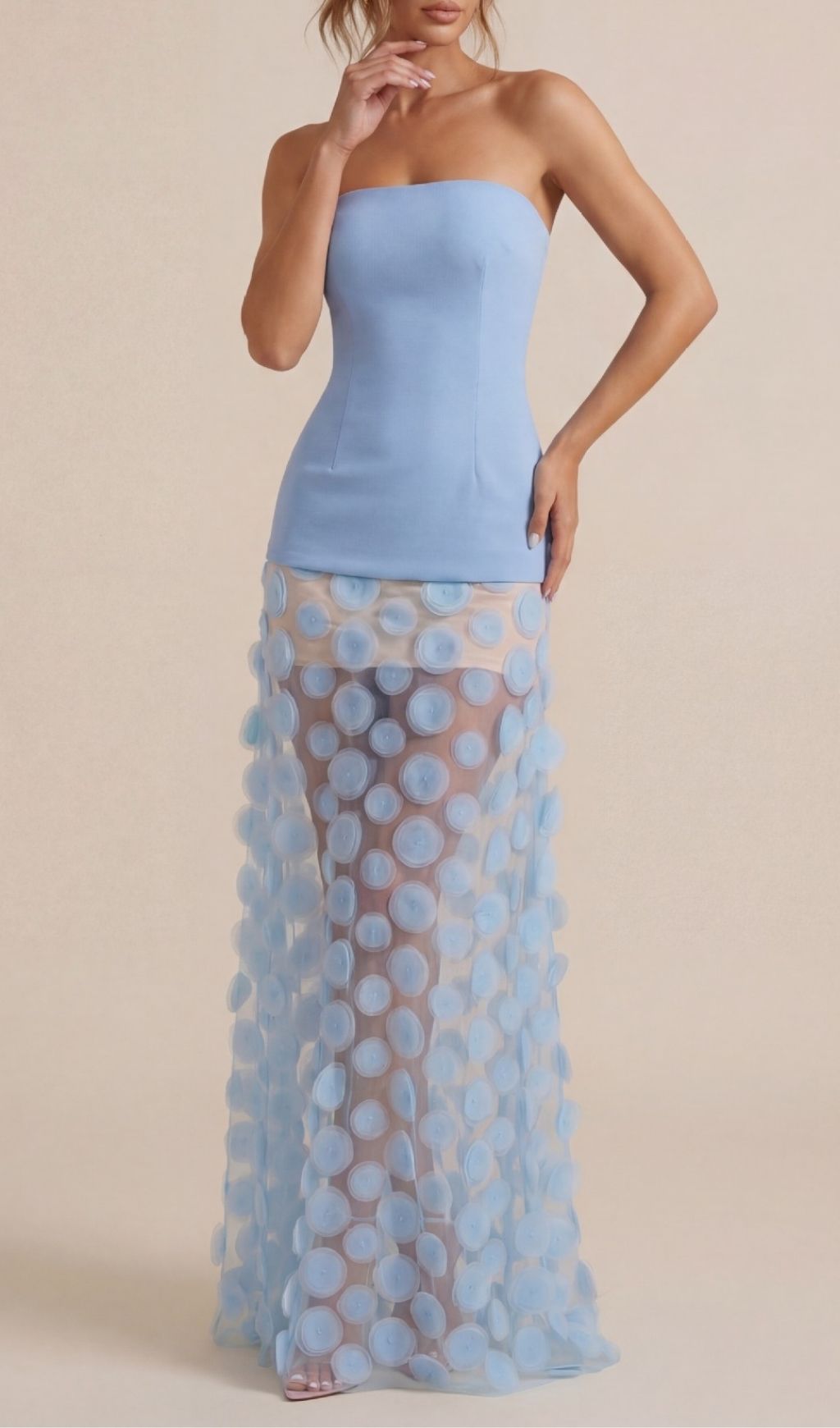 Keala Dream Blue Strapless Maxi Dress | Ethereal Mesh Applique Gown