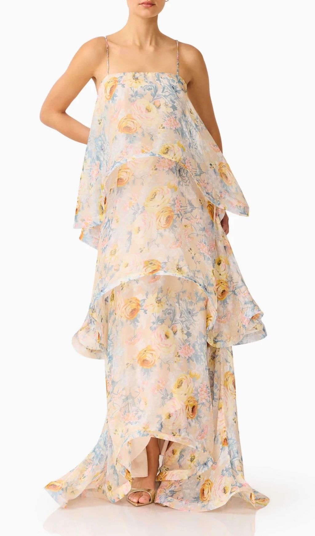 Lael Floral Printed Maxi Dress