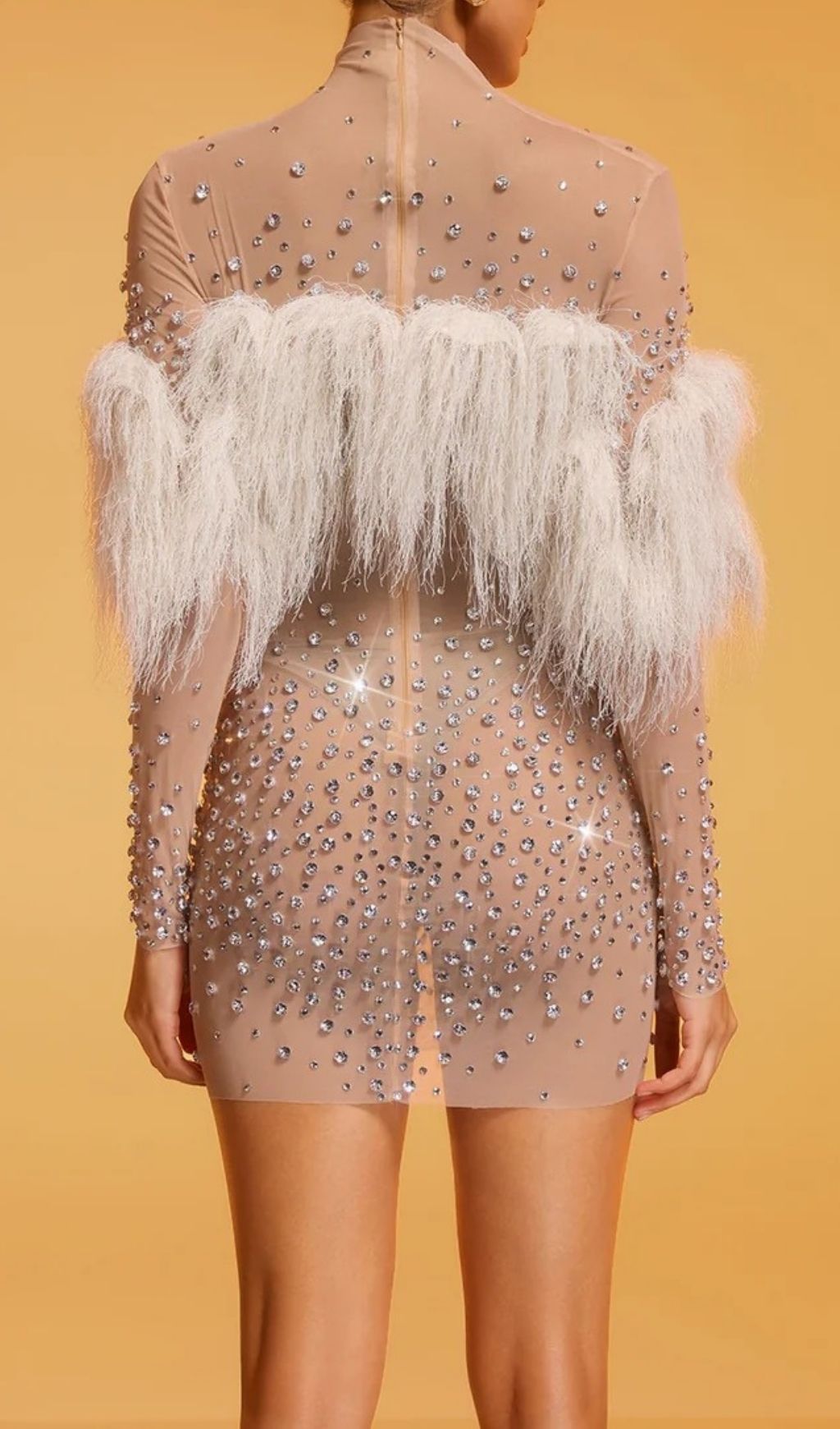 Diantha Dazzle & Fringe Rhinestone Mesh Mini Dress - Party & Club Glamour