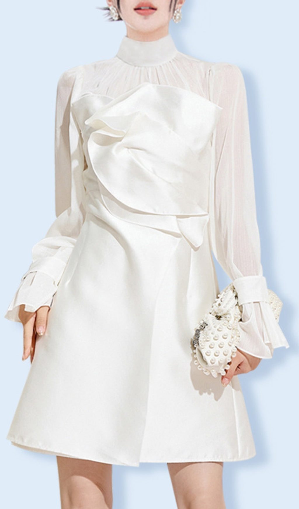 Annica Mesh Long Sleeve Mini Dress