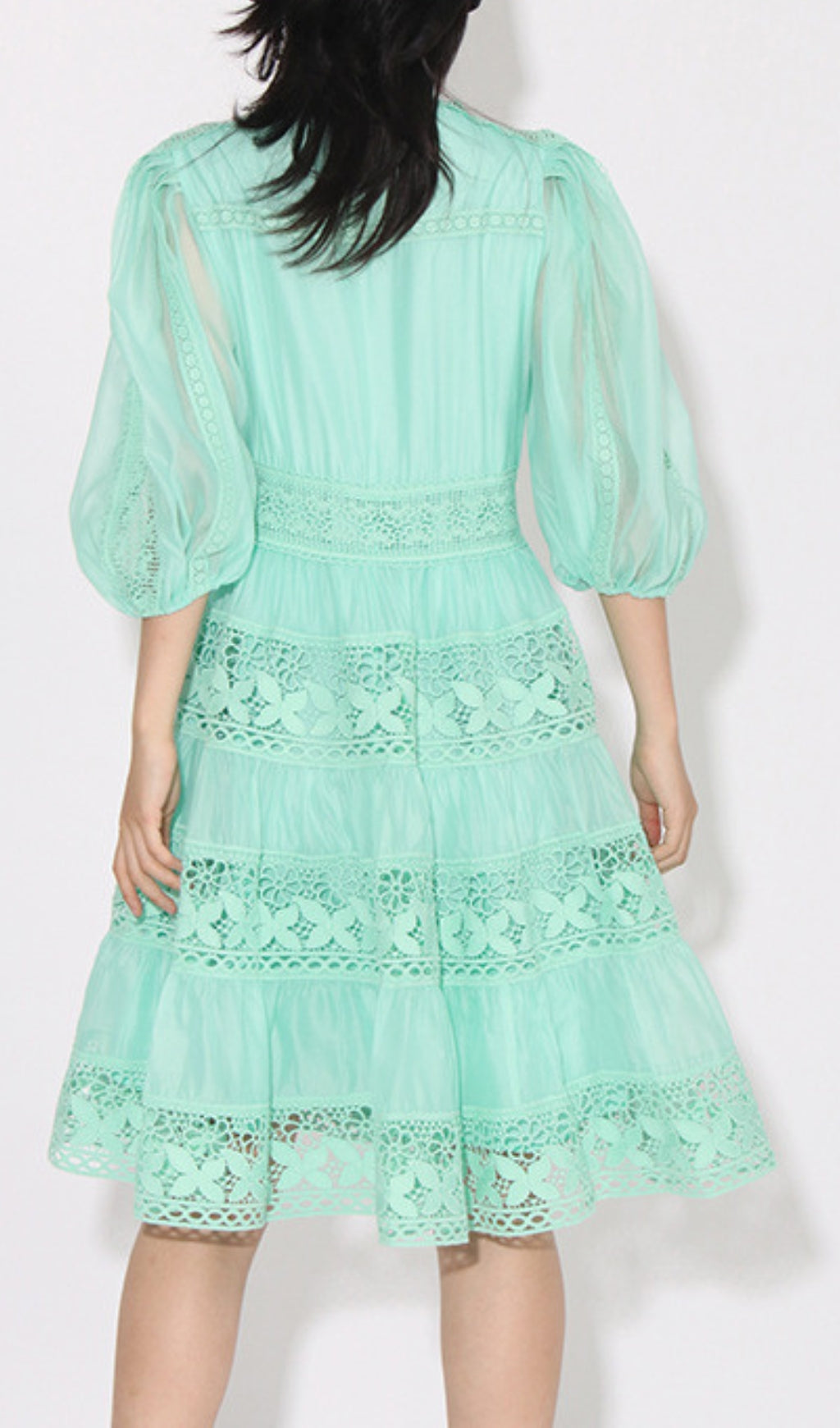 Astrea Puff Sleeve Embroidery Mini Dress