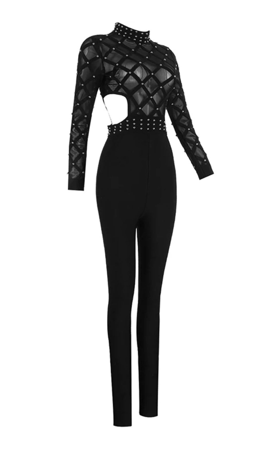 Ashwina Black Mesh Jumpsuit