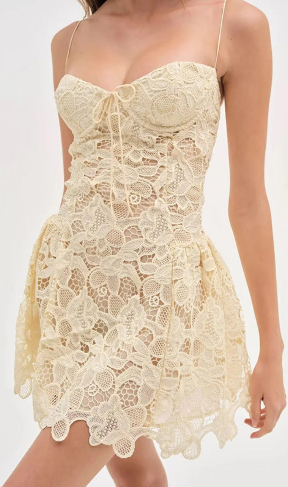 Felice Strappy Lace Embroidery Mini Dress