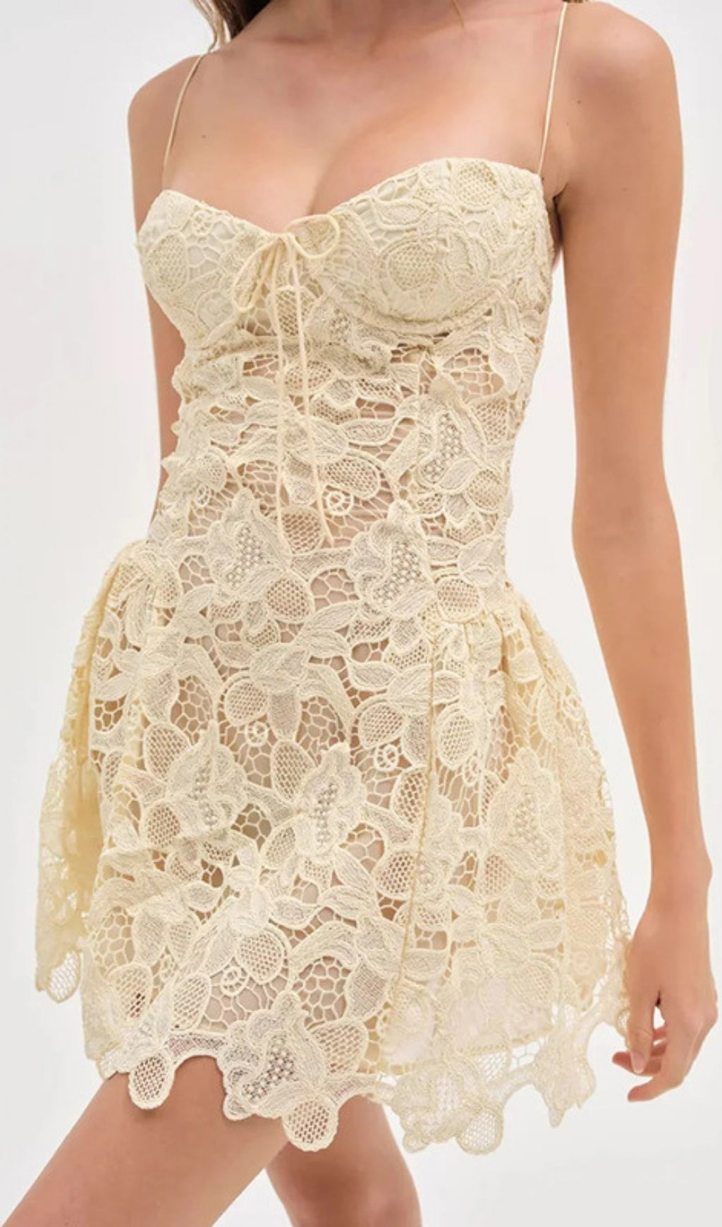 Felice Strappy Lace Embroidery Mini Dress