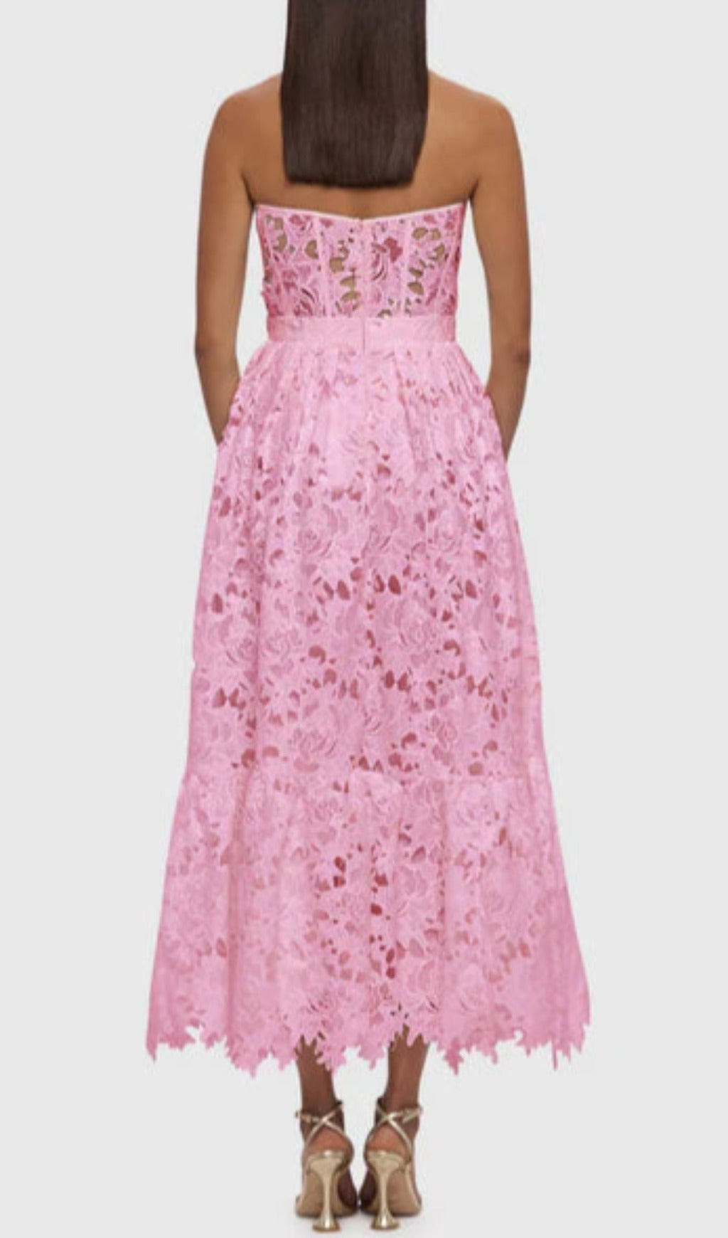 Aris Pink Lace Bustier Maxi Dress