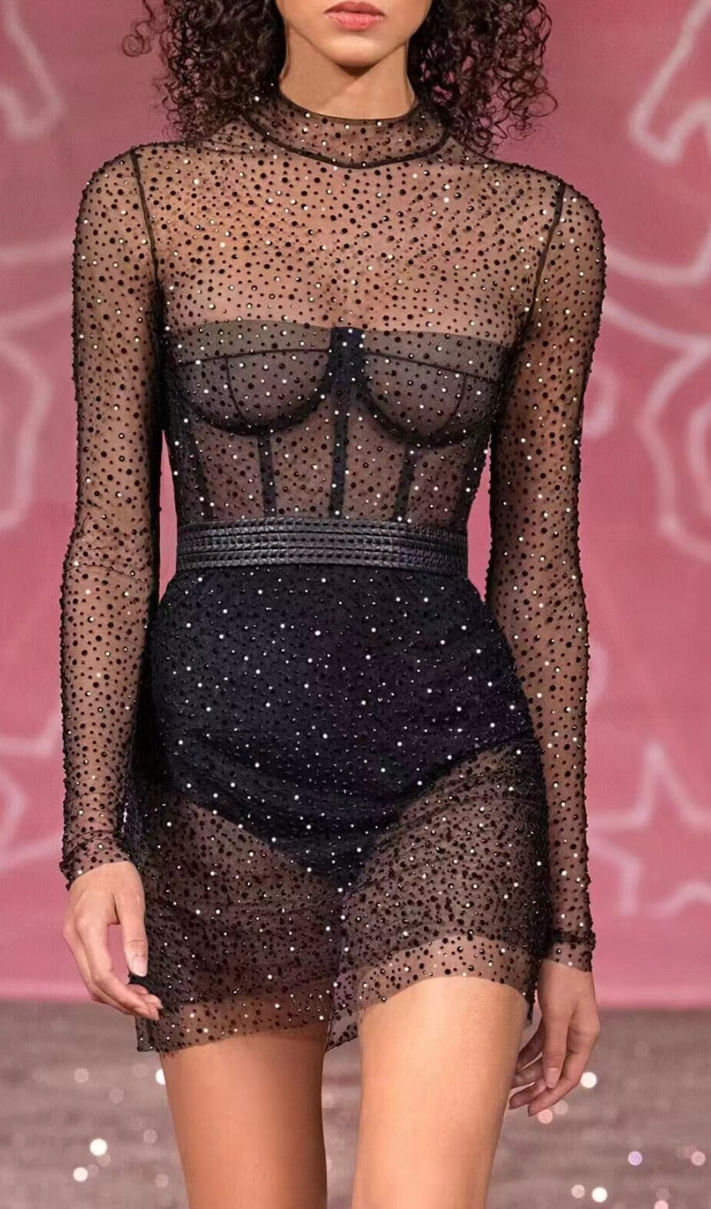 Brede Embellished Corset Mesh Mini Dress