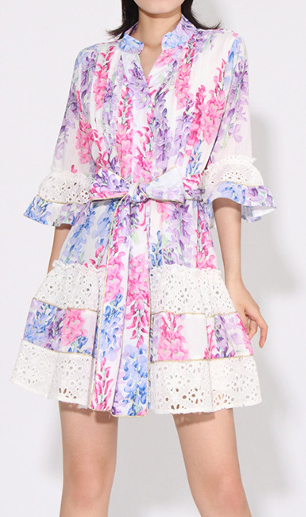 Erast Printed Embroidery Mini Dress