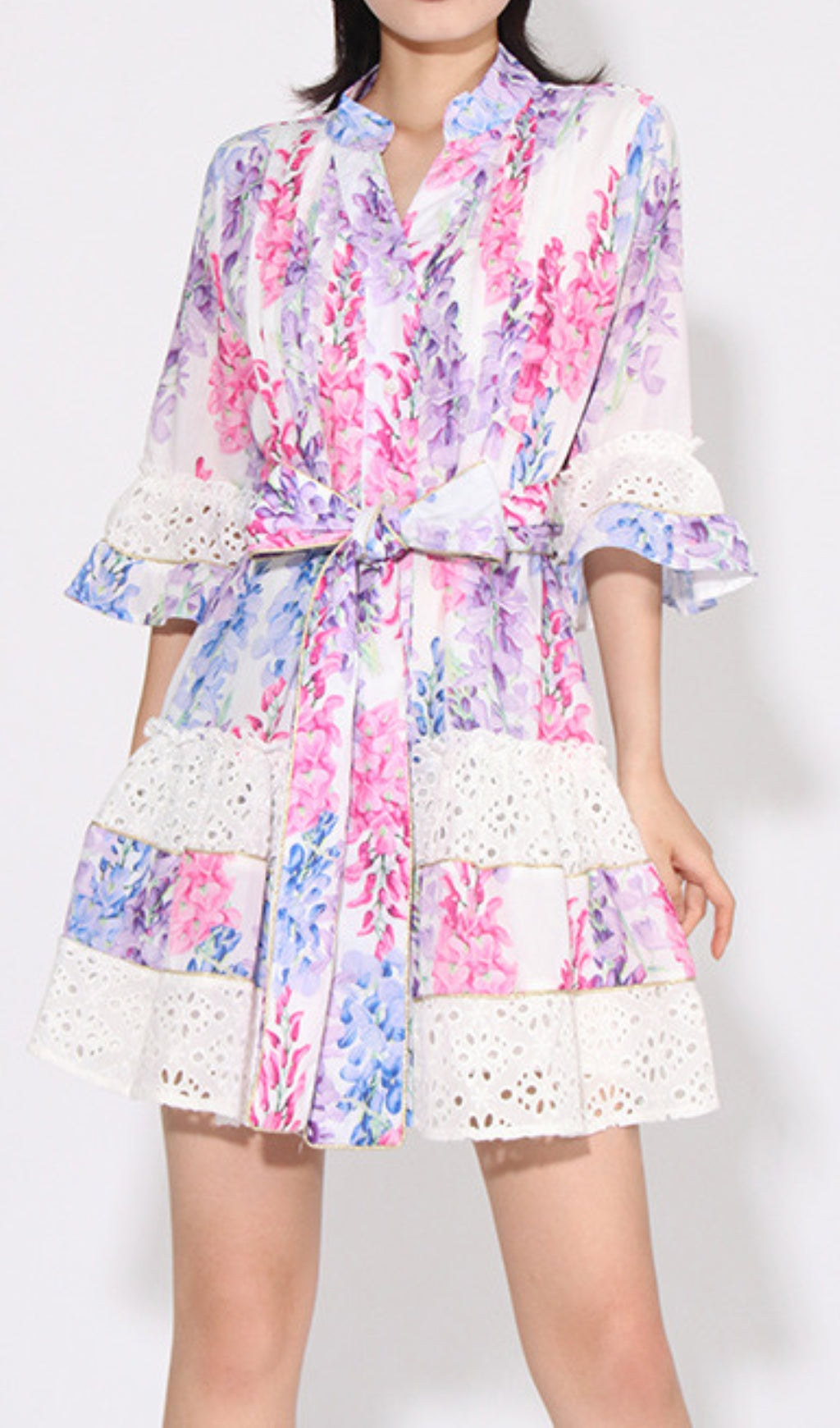 Erast Printed Embroidery Mini Dress