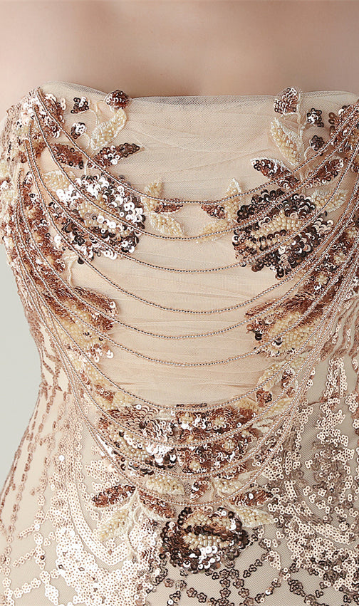 Ikuye Strapless Sequin Mesh Maxi Dress - Glamorous Evening Gown