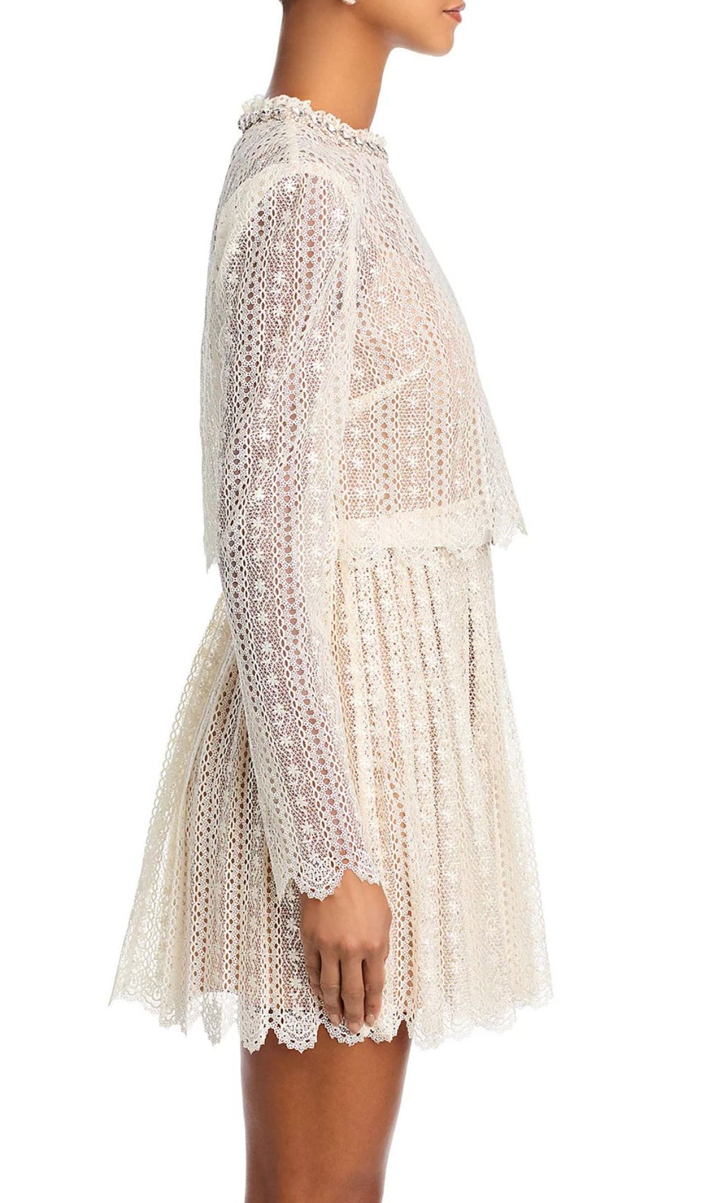 Chic Organza Lace Mini Dress | Ruffled Neck & Scalloped Details