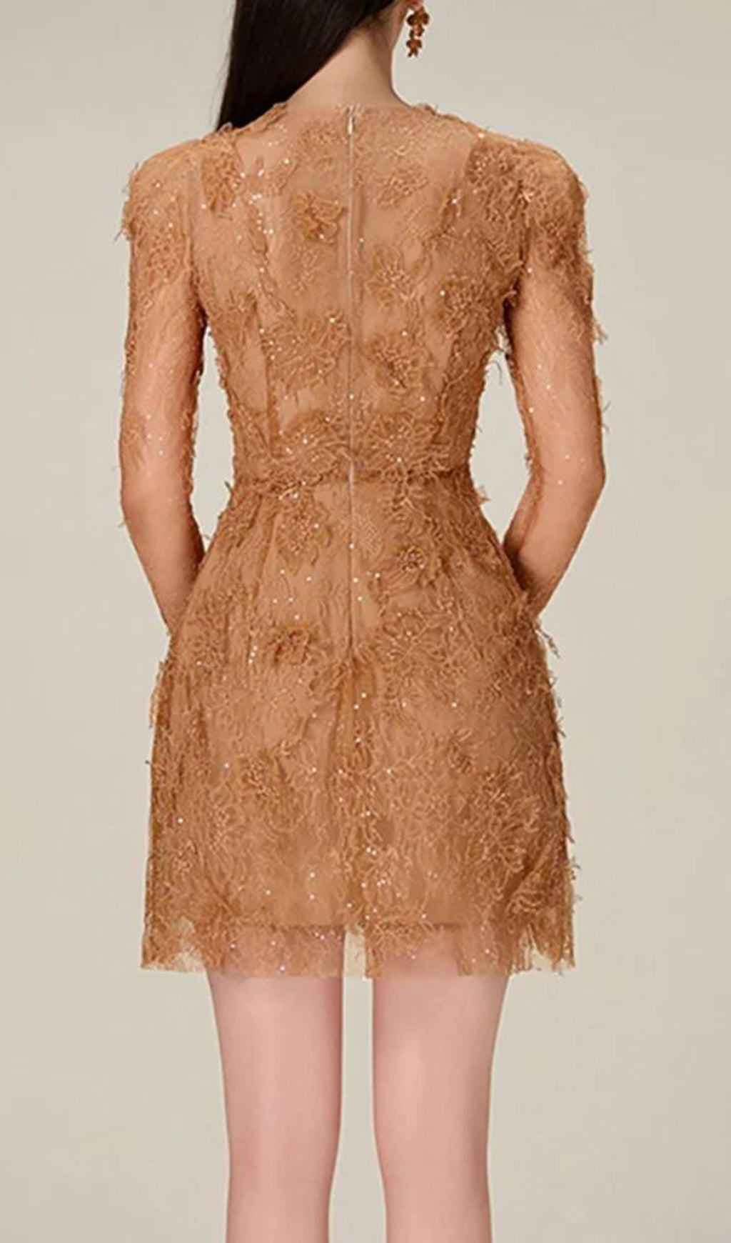 Adri Lace Embroidery Mini Dress