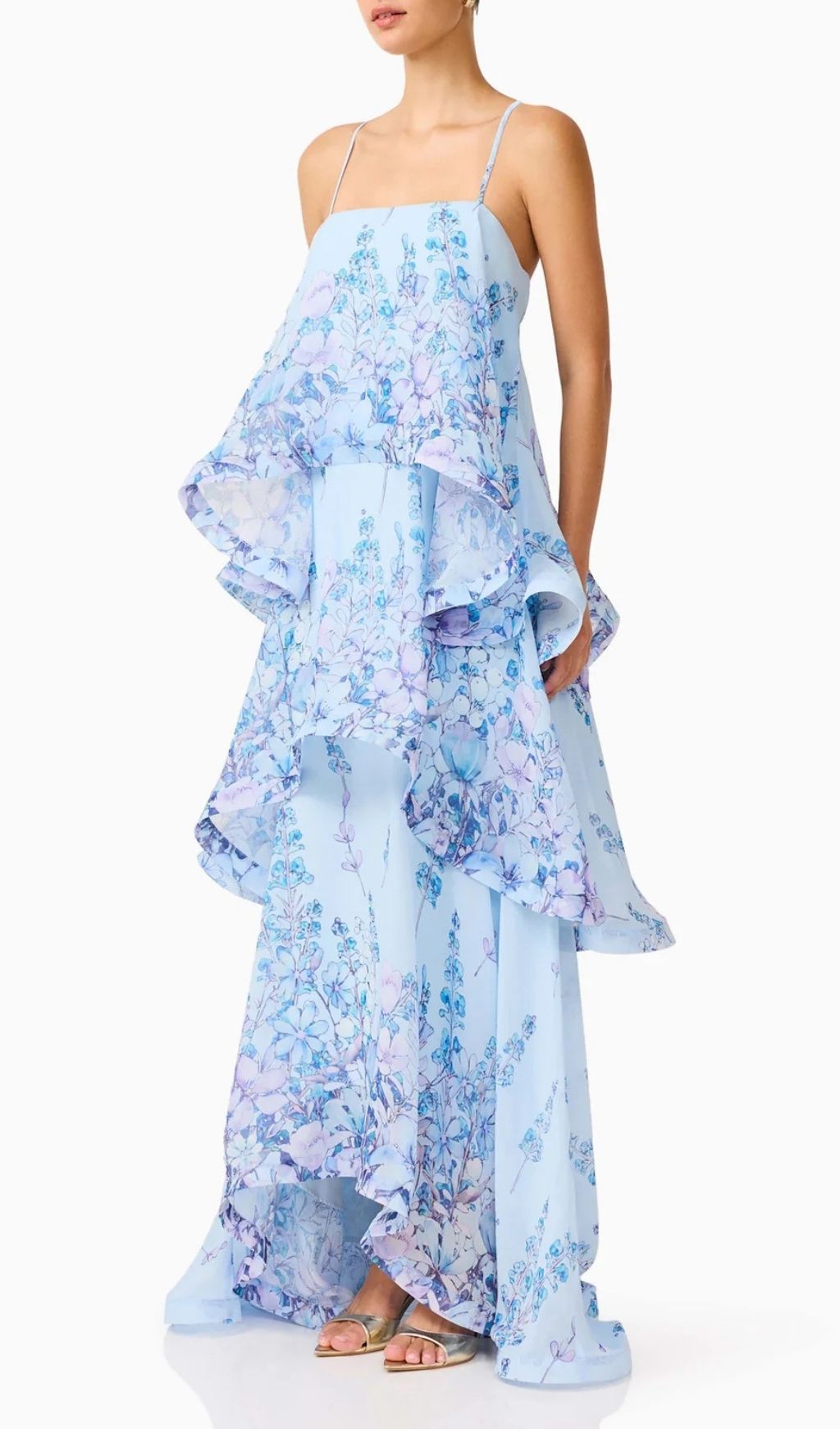Lael Blue Floral Printed Maxi Dress