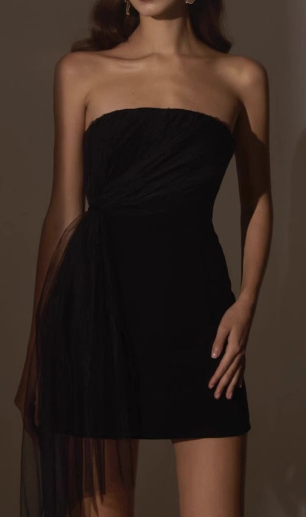 Chantoya Strapless Mesh Mini Dress