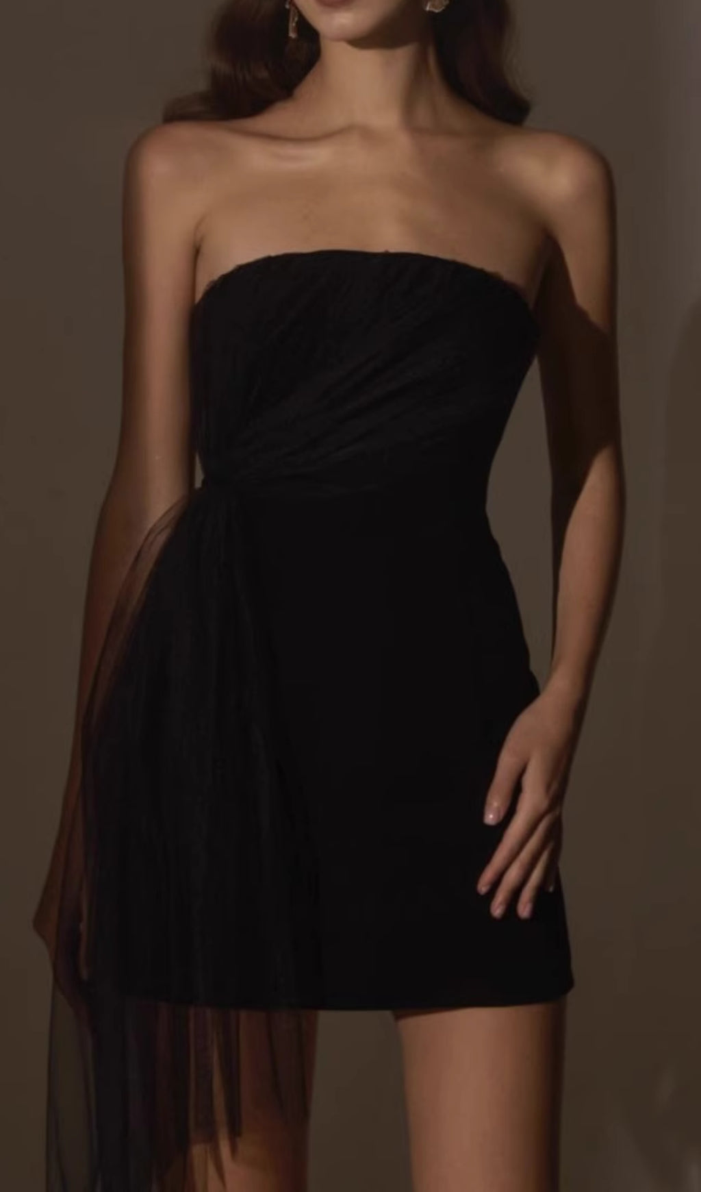 Chantoya Strapless Mesh Mini Dress