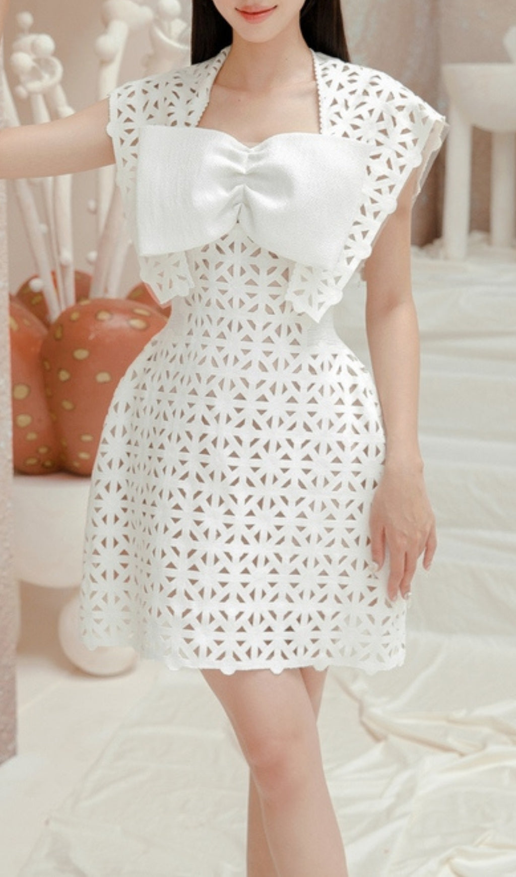 White Bow Embroidered Mini Dress