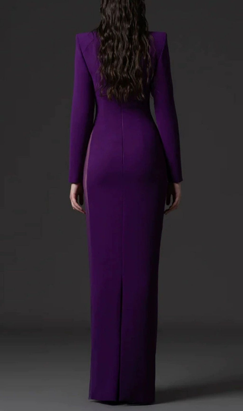 Kyanna Purple Embellished Long Sleeve Maxi Dress