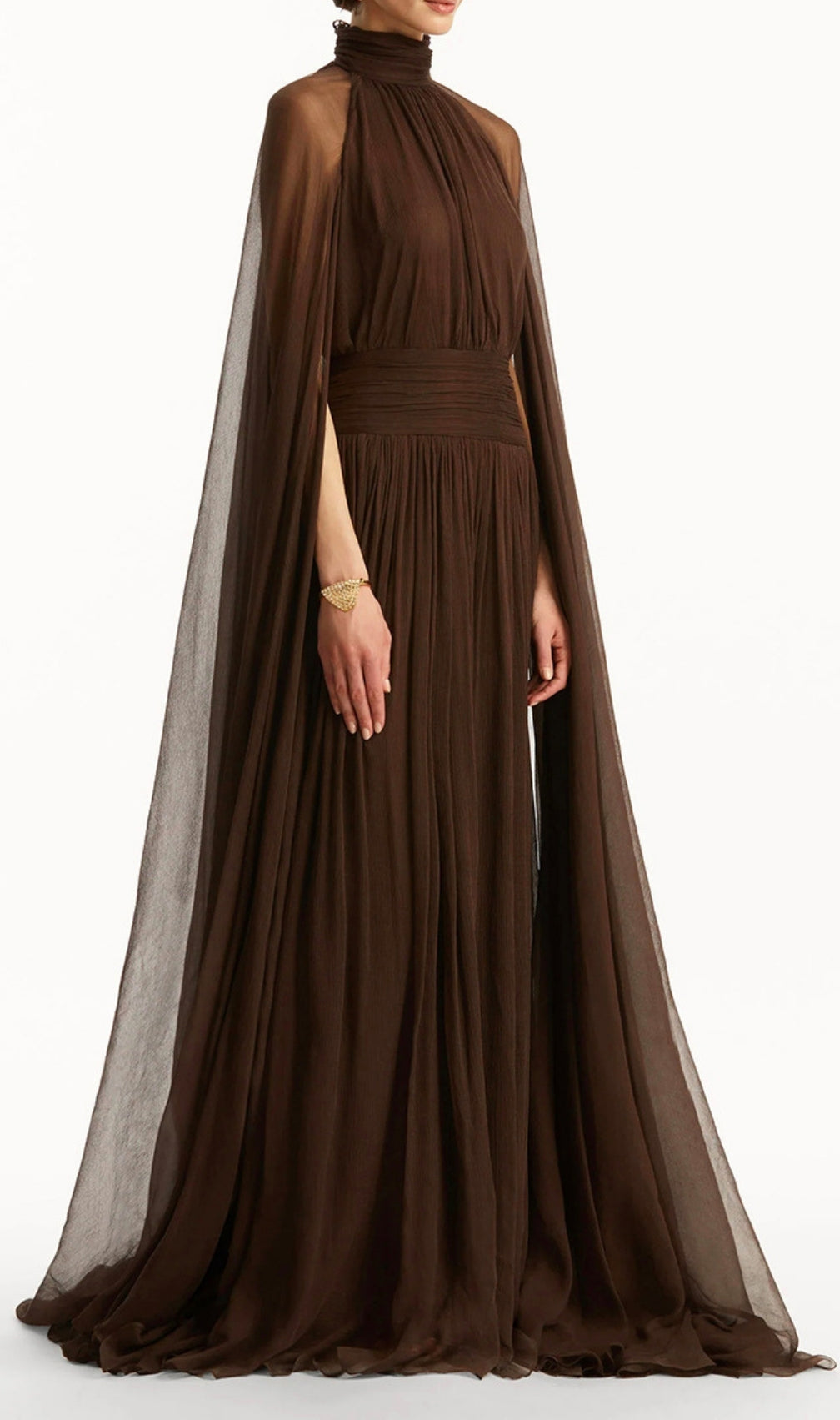 Franz Coffee Butterfly Mesh Maxi Dress