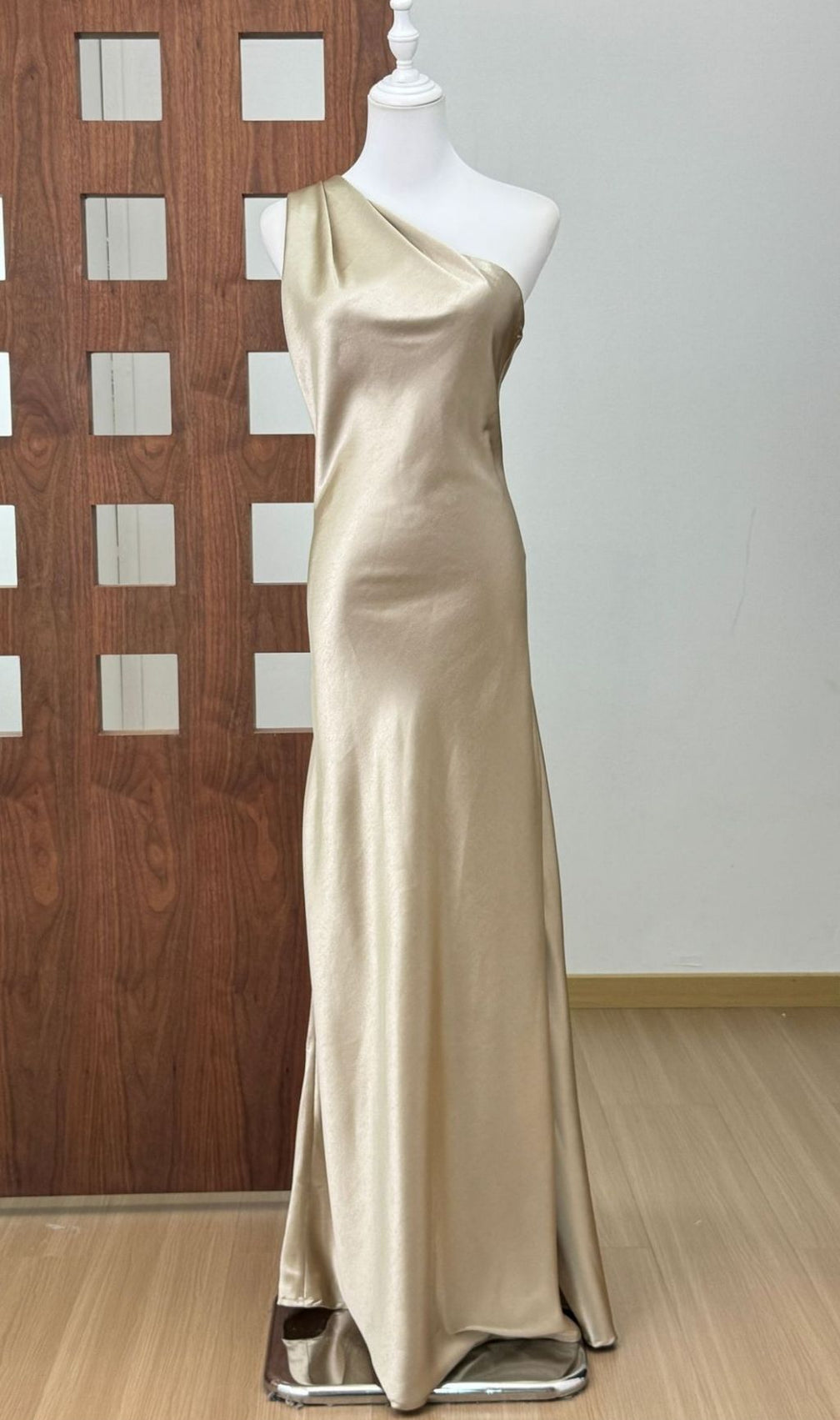 Phaelion Champagne One Shoulder Maxi Dress