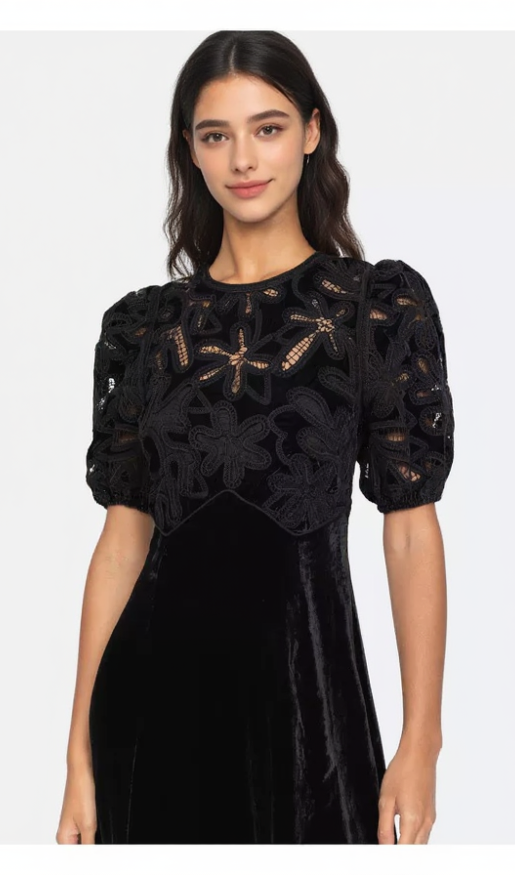 Velvet Puff Sleeve Embroidered Midi Dress in black