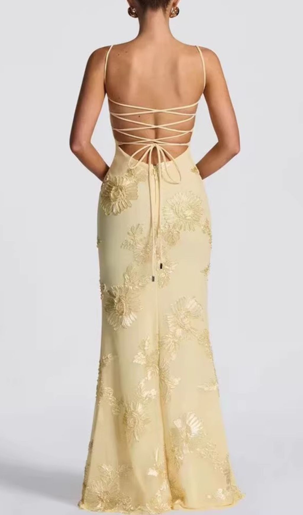 Jaleh Champagne Floral Embroidered Backless Maxi Gown