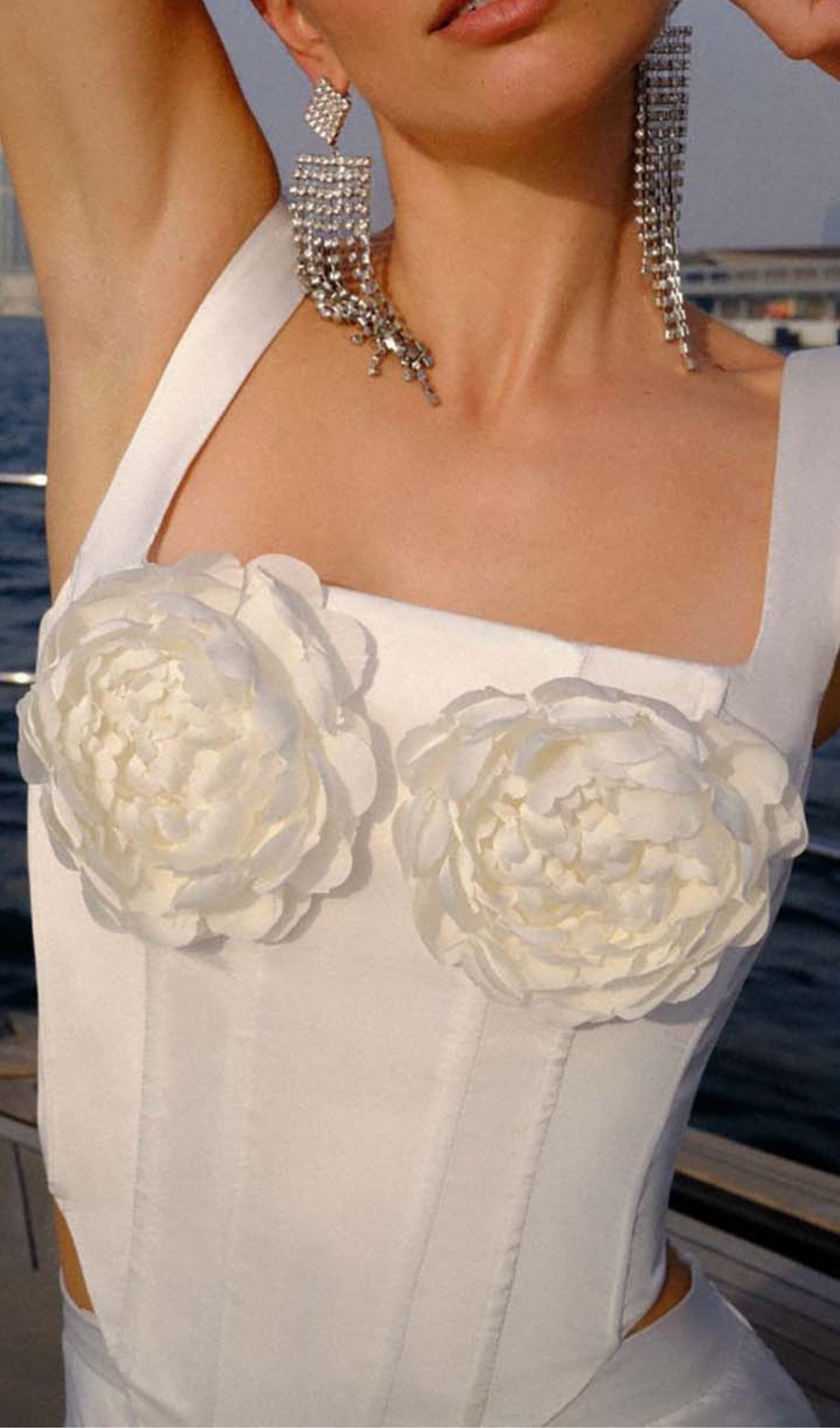 Roses Embelished Corset Two Pieces Set