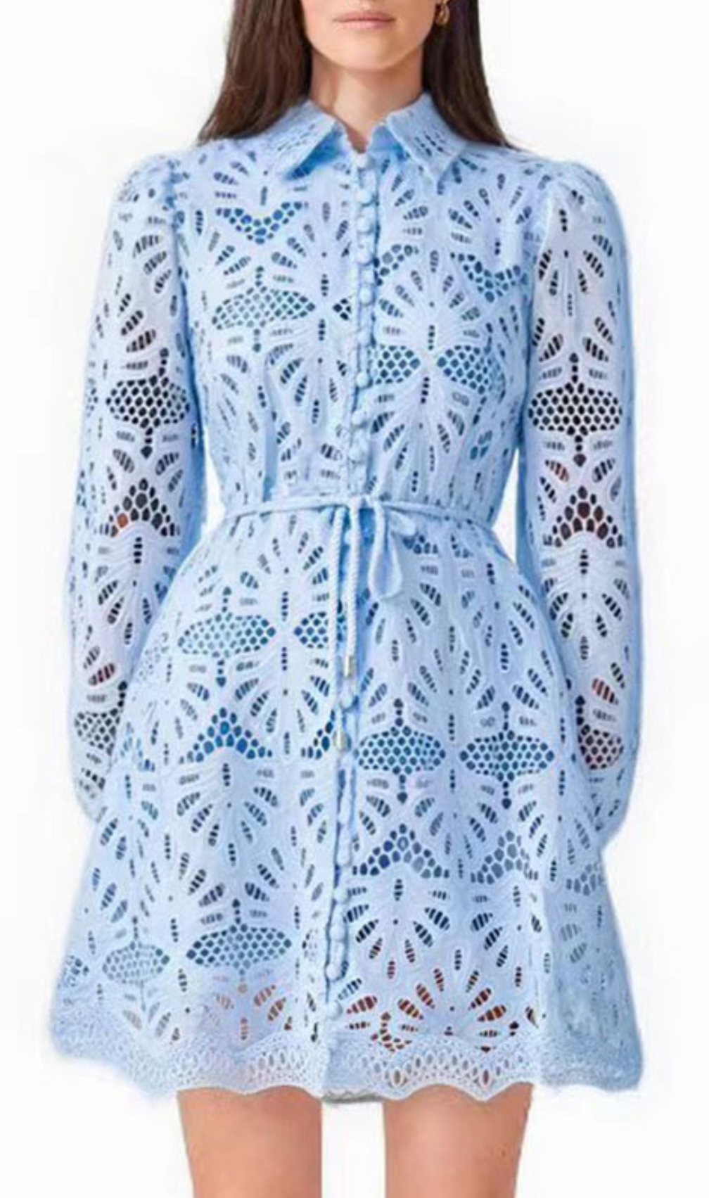 Gazit Embroidery Long Sleeve Mini Dress