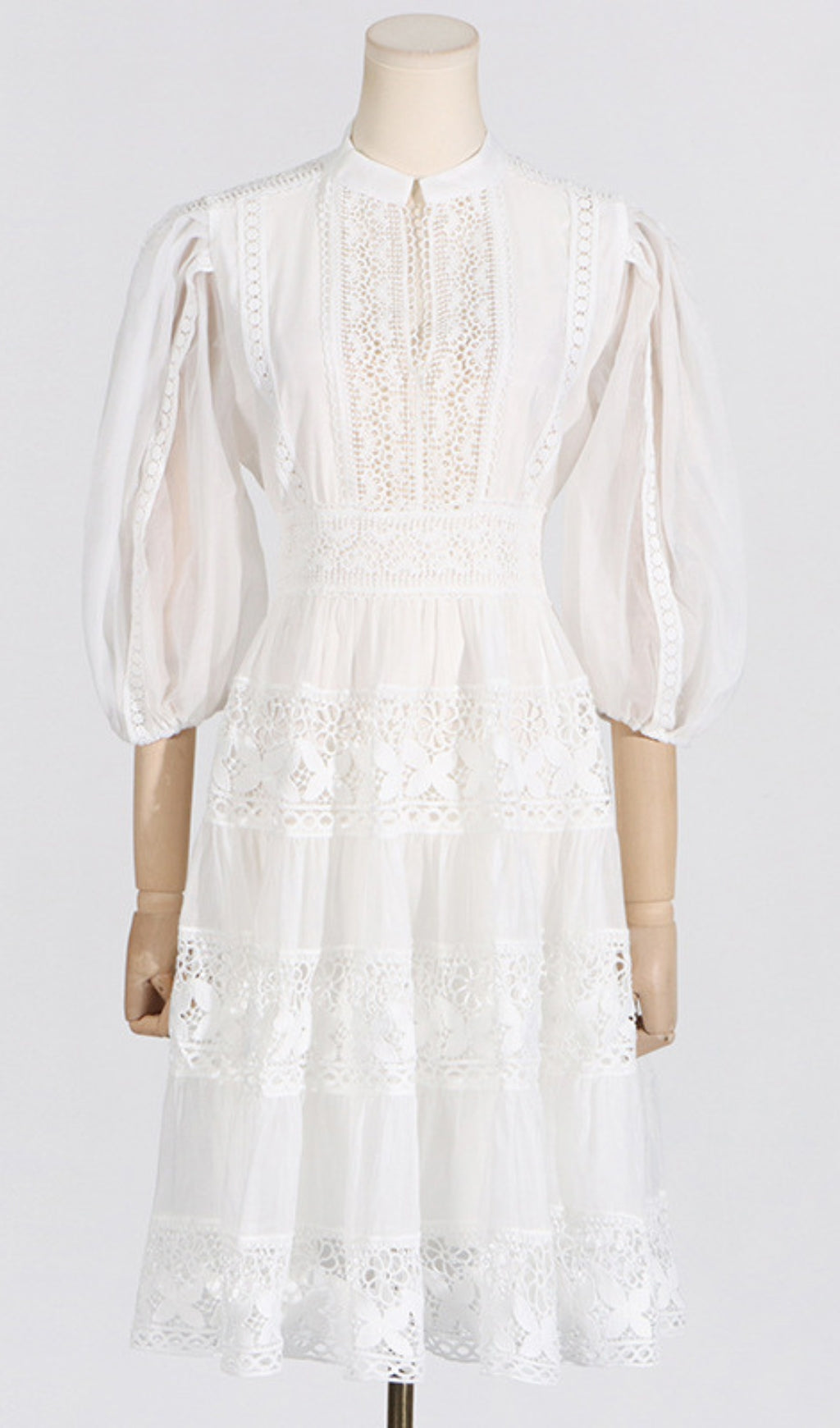 Astrea Puff Sleeve Embroidery Mini Dress