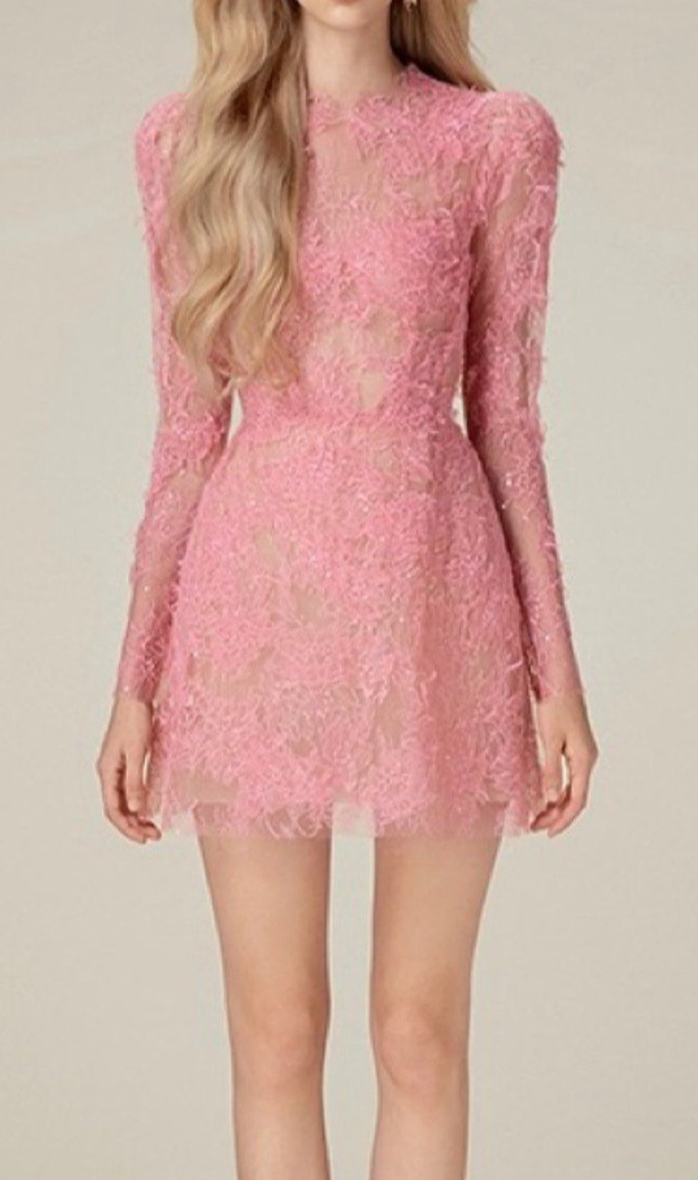 Adri Lace Embroidery Mini Dress