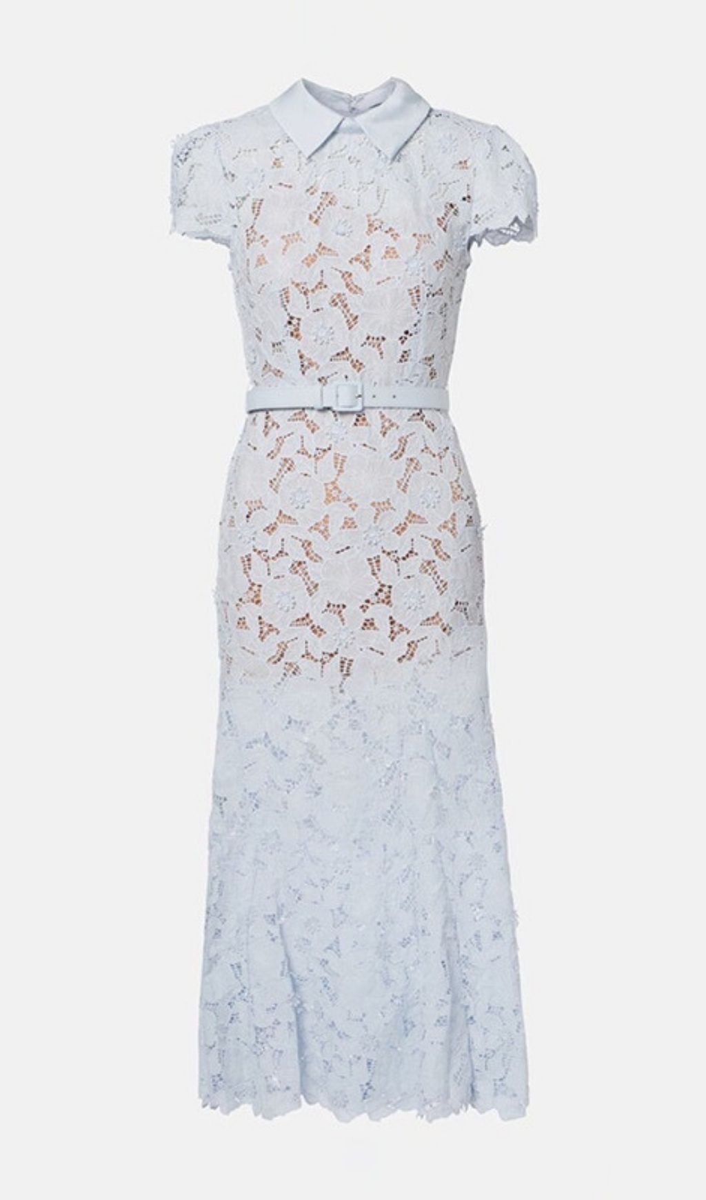 Kennita Blue Floral Lace Midi Dress | Timeless Elegance for Special Occasions