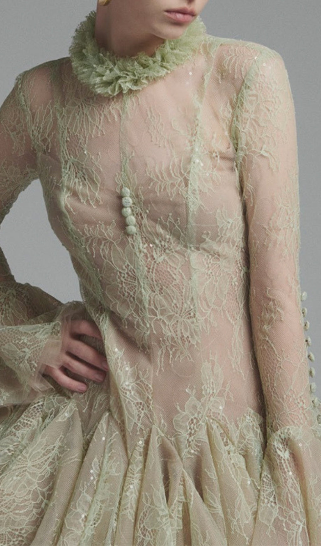 Daniyah Long Sleeve Lace Mini Dress