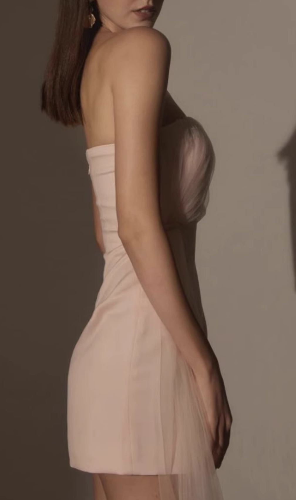 Chantoya Strapless Mesh Mini Dress