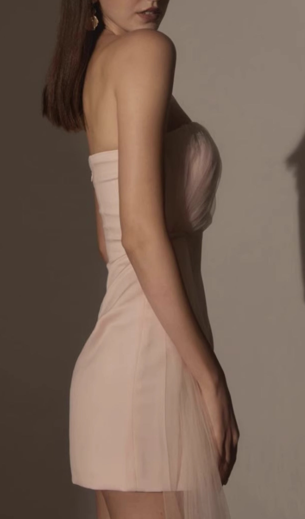 Chantoya Strapless Mesh Mini Dress